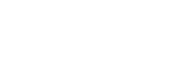 partner 10
