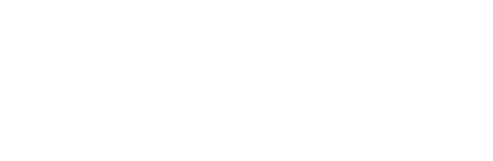 partner 12